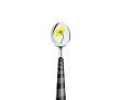 green leaf and spoon 