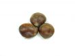 chestnuts 