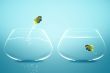 Angelfish jumbing to other bowl