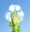 ecology concept