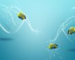 angelfish jumping out of  fishbowl