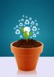 Ecological awareness concept
