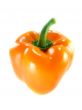 Orange bell pepper 