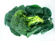 broccoli and Leaf 
