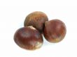 chestnuts 