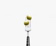 olive pierced by fork,  isolated on white background 