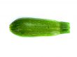 fresh zucchini