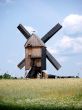 Windmill-Beelitz-field