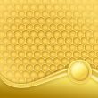 honeycomb with wax