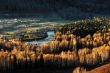 Village with golden trees in autumn