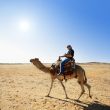 with the camel in the desert