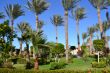 garden of palms