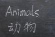 Animals - word written on a smudged blackboard