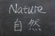 Nature - word written on a smudged blackboard