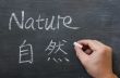 Nature - word written on a smudged blackboard