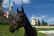 A horse on a background Elias Church