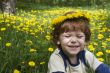 Wreath of dandelions