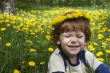 Wreath of dandelions