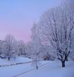 The frost in winter in Riga