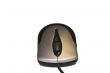 Black and white computer mouse isolated on the white background