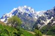 Caucasus mountains
