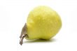 Ripe yellow pear on white background