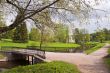 Spring in the park