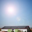 solar plants in the house during sunny weather