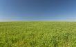 Green and blue