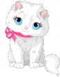 Cute white cat