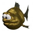 strange goldfish