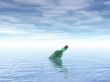 message in a bottle