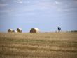 Straw bales and high seat
