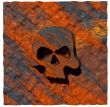 skull on colorful background