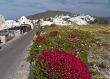 Way along Santorini island in spring