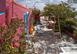 The yard of a small rose house