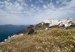 Spring Santorini