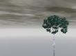 abstract tree 