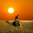 pose on the camel