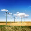 Wind turbines generate energy