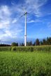 Rural wind turbine