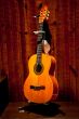 Spanish guitar