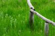 Wooden fence in the grassland
