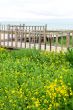 Wooden fence in the grassland