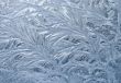 Frozen window