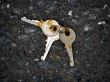 three keys