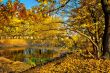 A small lake in the autumn forest