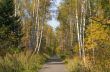 Autumn park