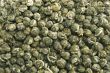 Green tea background