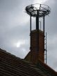 Stork nest in the fall